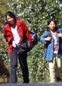 久久青青草原国产精品免费
